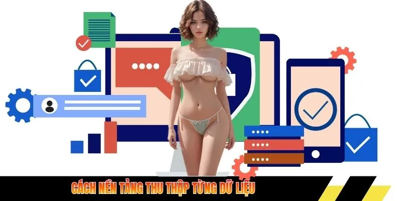 Cách nền tảng thu thập từng dữ liệu